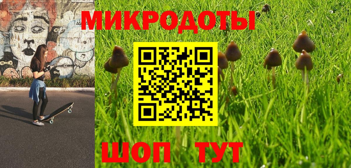 Псилоцибиновые грибы мухоморы Лосино-Петровский