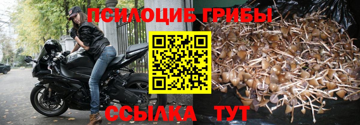 Лосино-Петровский  Галлюциногенные грибы мицелий  Вход с VPN 